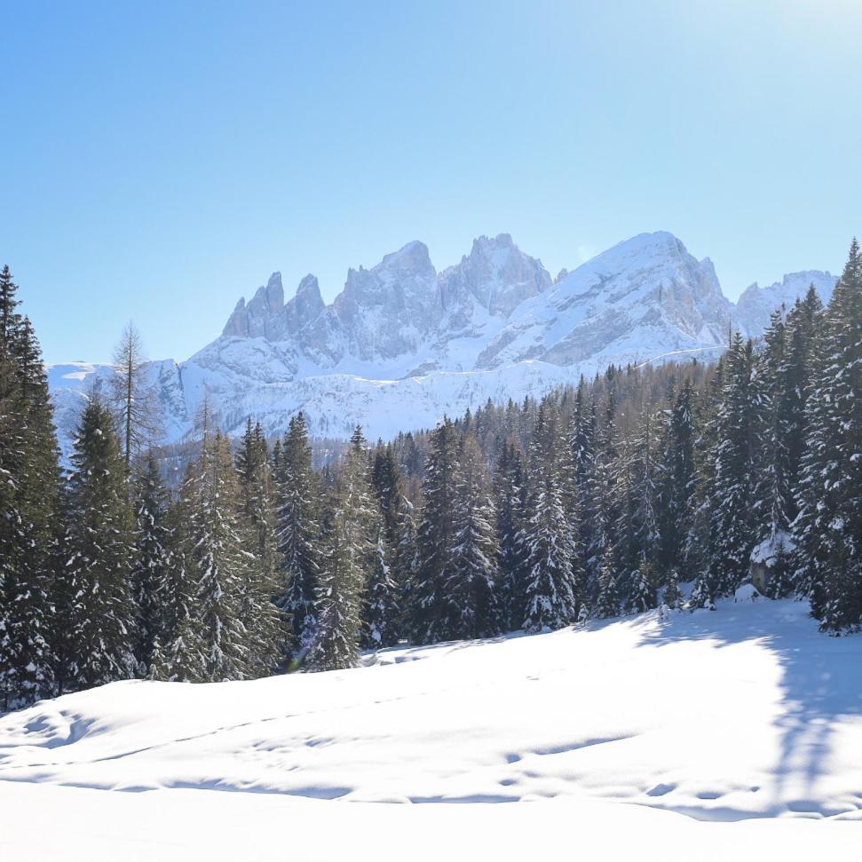 Rifugio Flora Alpina Hotel Passo San Pellegrino Ngoại thất bức ảnh