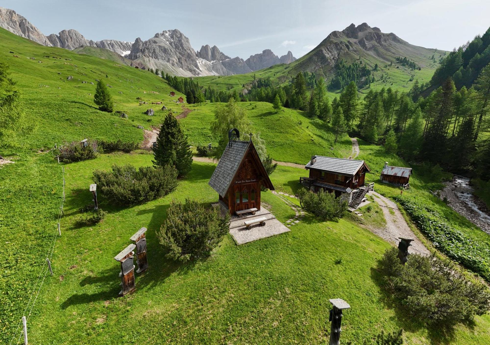 Rifugio Flora Alpina Hotel Passo San Pellegrino Ngoại thất bức ảnh